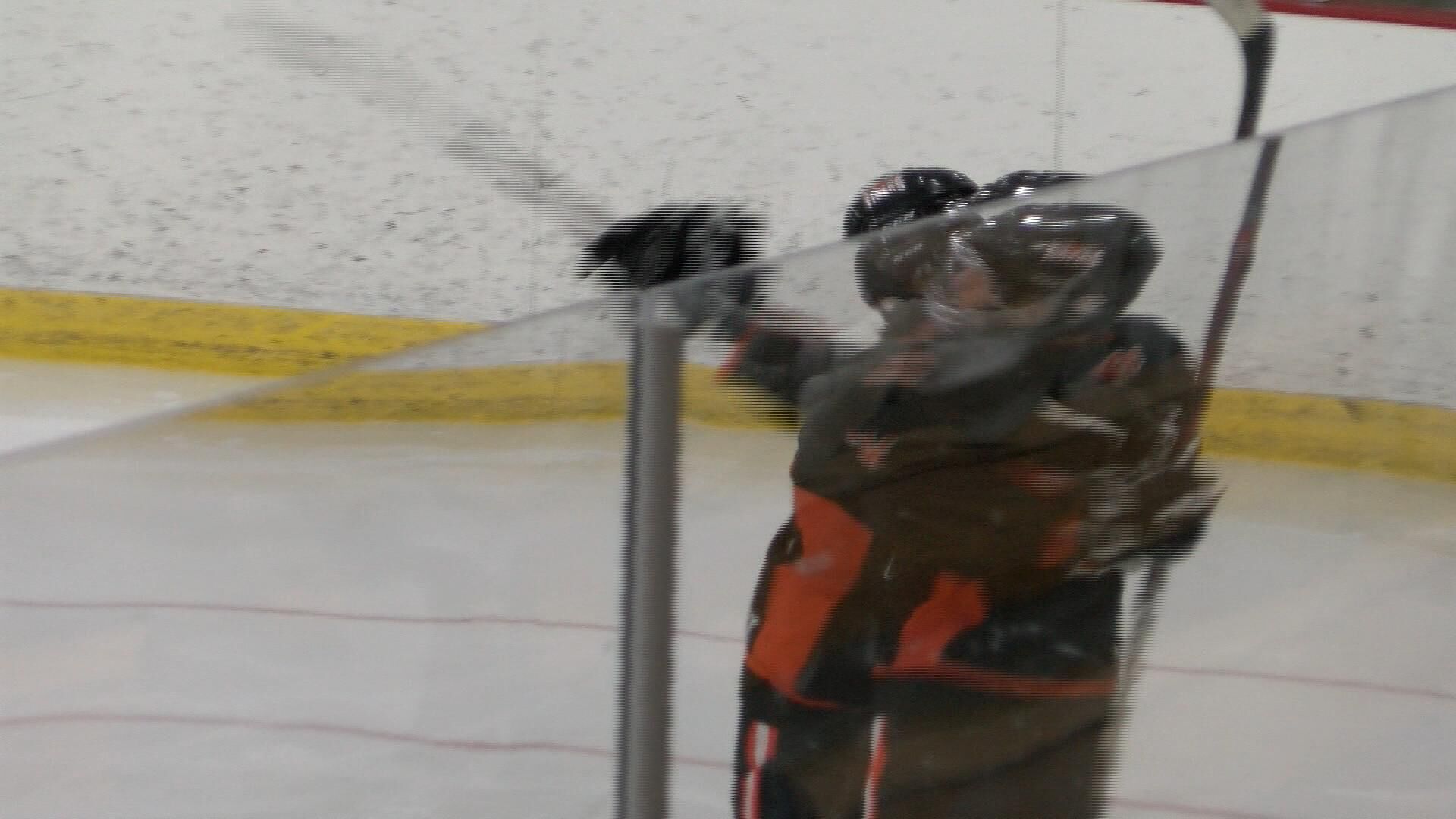 Tigers take down the Avalanche